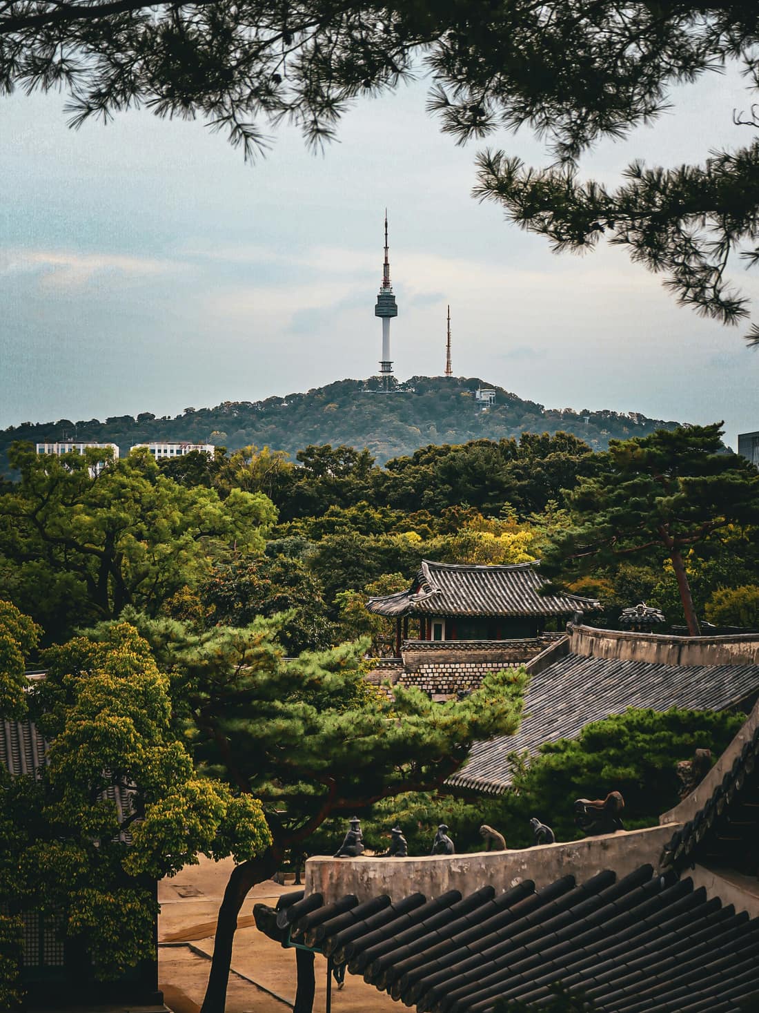 N Seoul Tower on Namsan, seen over the tiled roofs of a traditional palace and pine trees