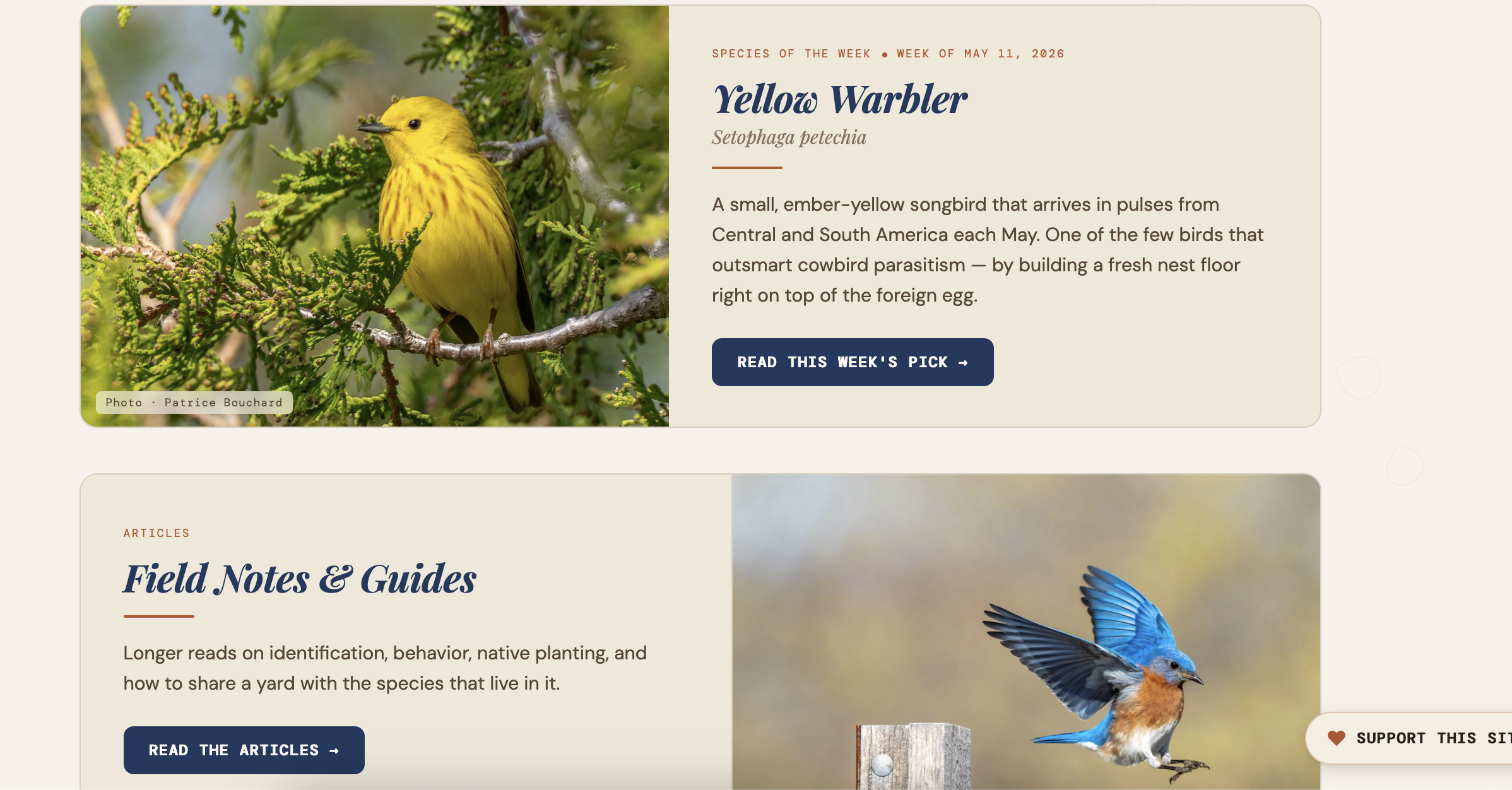 Local Wildlife Finder — Species of the Week & Field Notes & Guides
